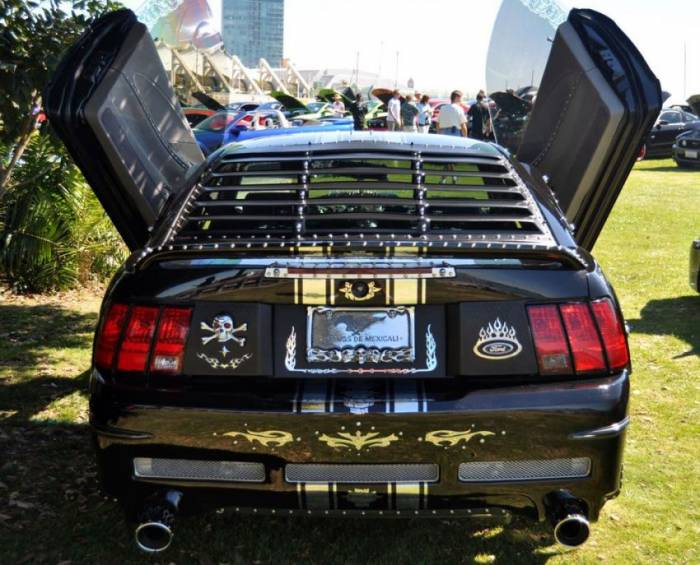 Встреча владельцев Mustang в США (43 фото)