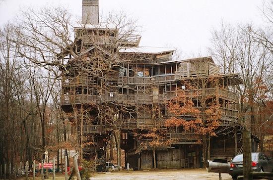 Крупнейший в мире Дом на дереве имеет площадь 930 кв м и опирается на 6 деревьев