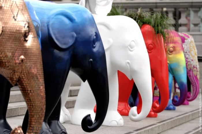 Необычные скульптуры слонов (12 фото)
