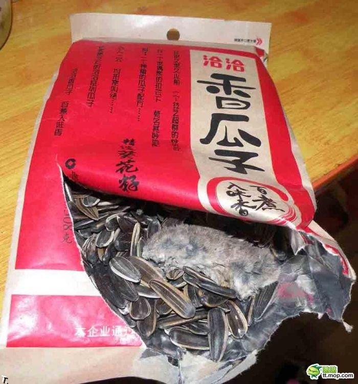 Что можно найти в упаковке китайских семечек (4 фото)