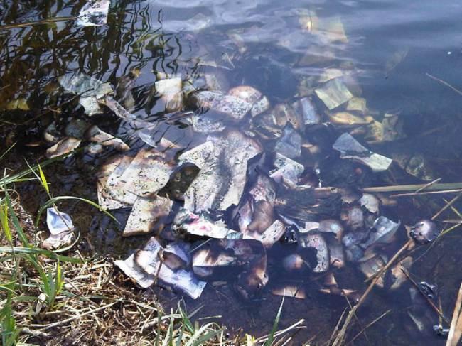 Британец нашёл 60 тыс. фунтов стерлингов в реке (3 фото)