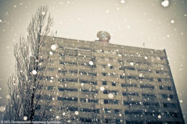 Времена года в Чернобыльской зоне (56 фото)