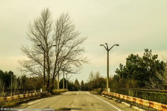Времена года в Чернобыльской зоне (56 фото)