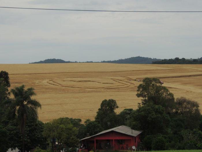 Загадочные круги на полях в Бразилии (17 фото)