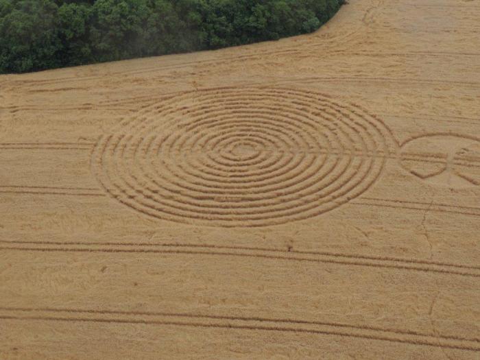 Загадочные круги на полях в Бразилии (17 фото)