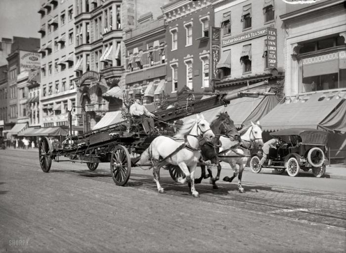 Архивные фотографии рабочих лошадей прошлого (19 фото) 