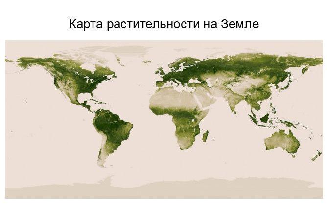 Карты, раскрывающие пикантные факты о странах мира (34 карты)