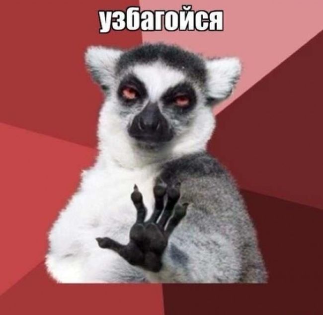 Самые популярные интернет-мемы Рунета (12 фото)