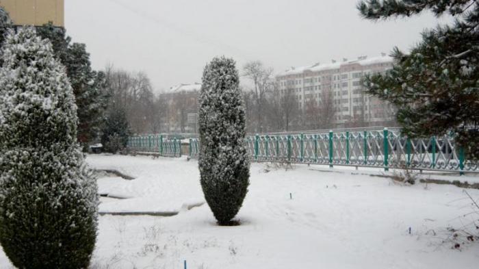 Большая прогулка по зимнему и новогоднему Ташкенту (20 фото)