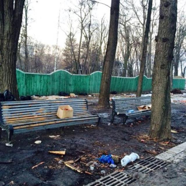 Во что превратился Мариинский парк в Киеве после митинга (7 фото)