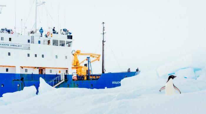  Международная спасательная операция в Антарктиде (20 фото) 