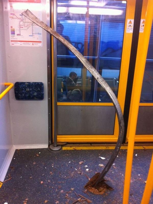 Случай в австралийском метро (3 фото)