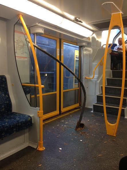 Случай в австралийском метро (3 фото)