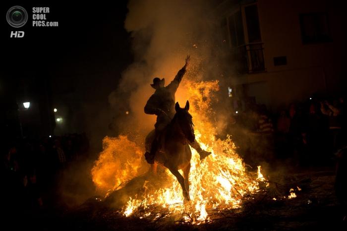 «Купание» лошадей в огне (10 фото)