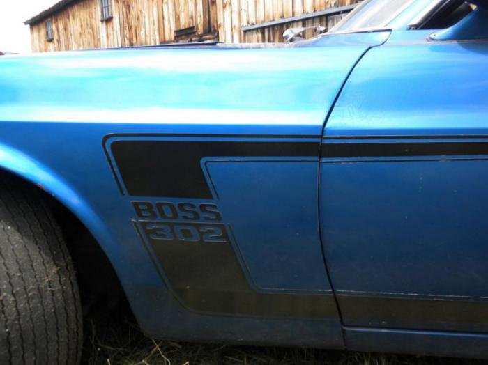 В сарае нашли Ford Mustang (14 фото)