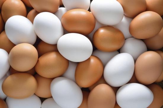 Разница между белыми и коричневыми куриными яйцами