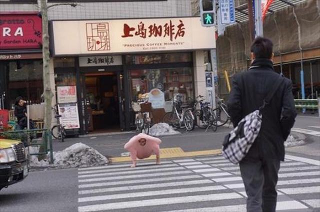Японец благодарю свитеру стал курицей (13 фото)