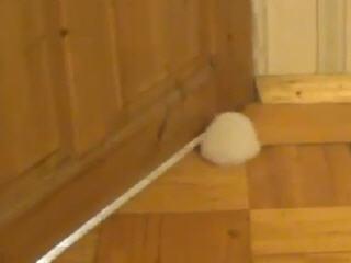 ������� �����