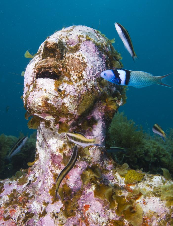 Подводный музей в Канкуне (53 фото)