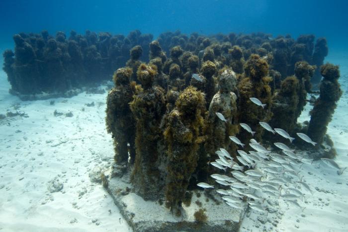 Подводный музей в Канкуне (53 фото)