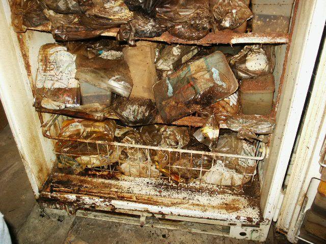 Открыл холодильник, который сломался пять лет назад (10 фото)