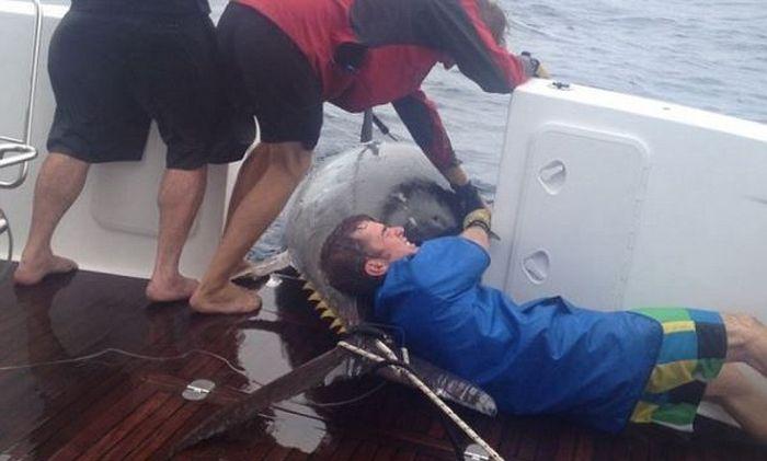 Рыбачка вытянула гигантского 400-килограммового тунца (6 фото)