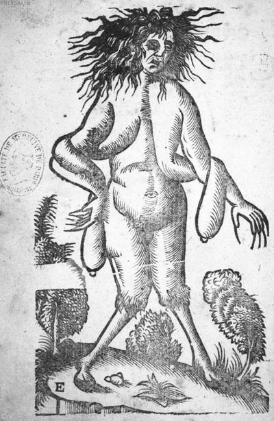 Как изображали монстров в XV веке (11 фото)