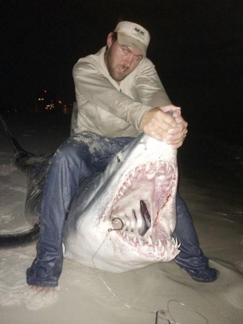 Братья-рыболовы поймали огромную акулу (6 фото+видео)