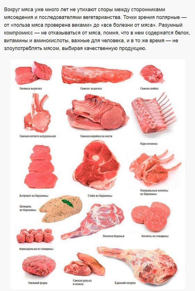 Как правильно выбрать мясо для шашлыка? (8 фото)