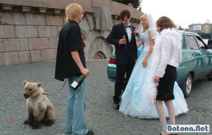 Смешные и идиотские свадебные фото (60 фото)