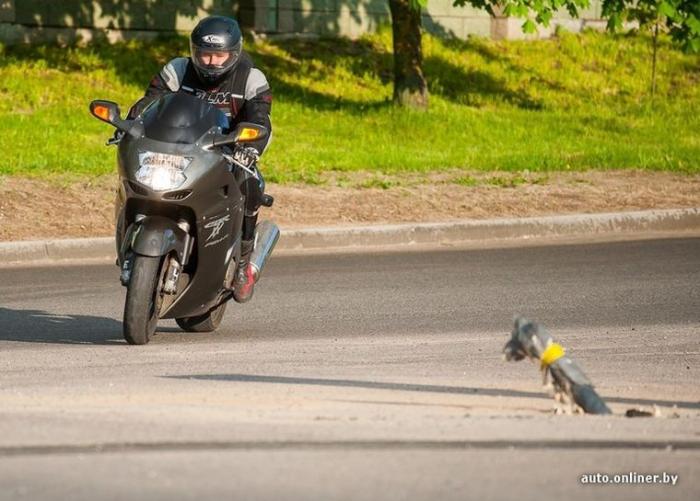 10 правил, которые спасут жизнь мотоциклисту (18 фото)