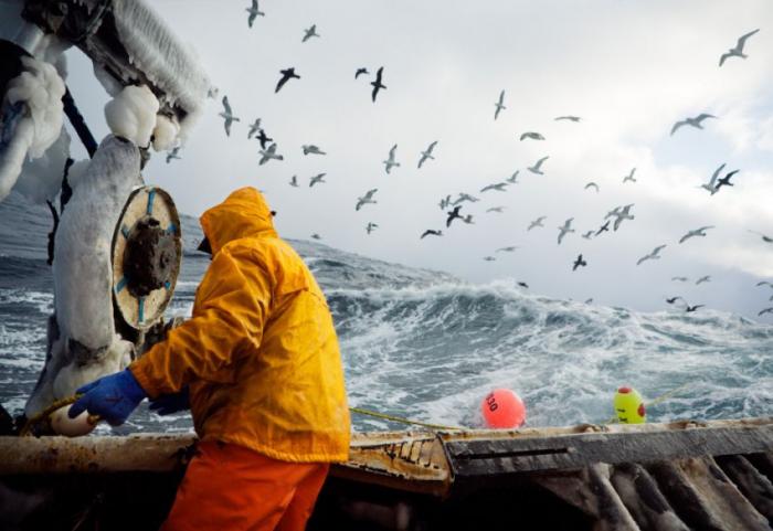 Суровое ремесло веселых рыбаков (21 фото) 