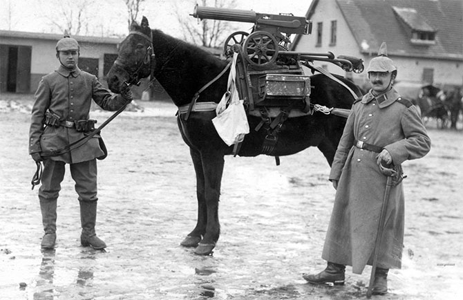 Животные Первой Мировой войны (28 фото)