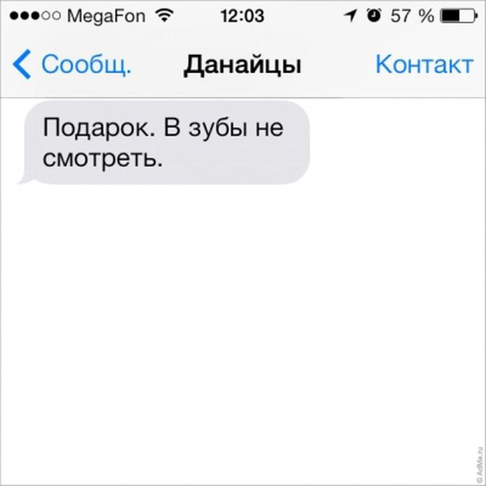  SMS    (31 ) 