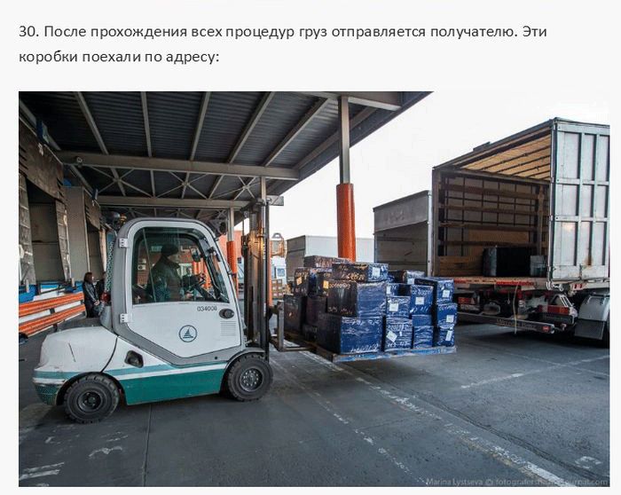 Работа таможни в Домодедово (34 фото)