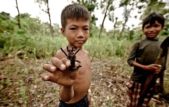 Деликатес у детей Камбоджи (12 фото)