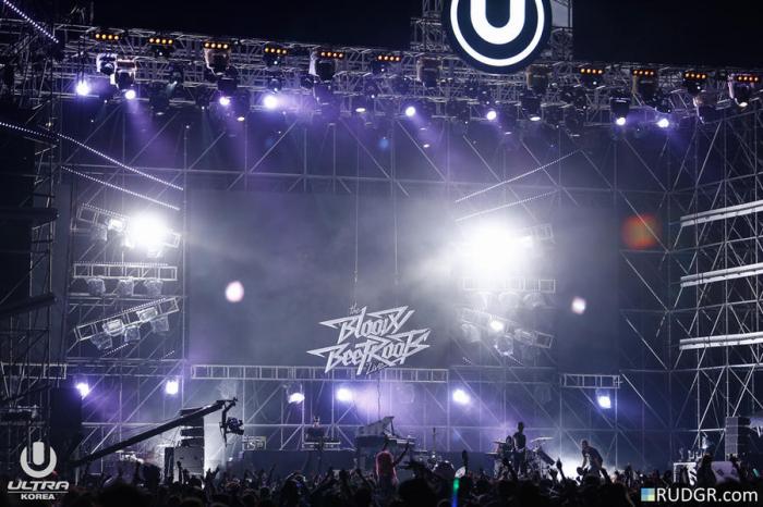    Ultra Music Festival Korea 2014 (84 )