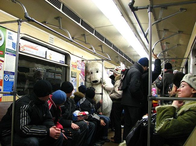 Медведь в метро Екатеринбурга (9 фото)