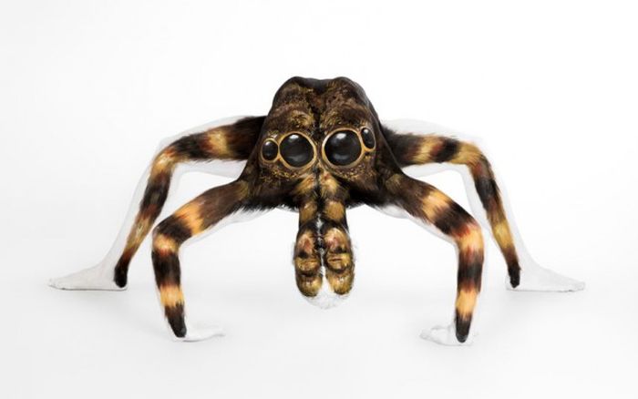 Девушка превращается в гигантского тарантула при помощи красок (6 фото)