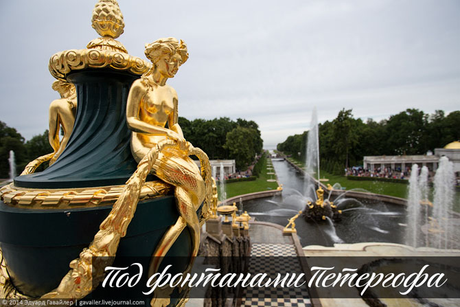 Под фонтанами Петергофа (30 фото)