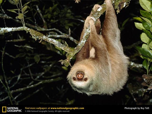 National Geographic  (103 ) 