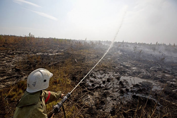 Как тушат пожары в Тверской области (15 фото)