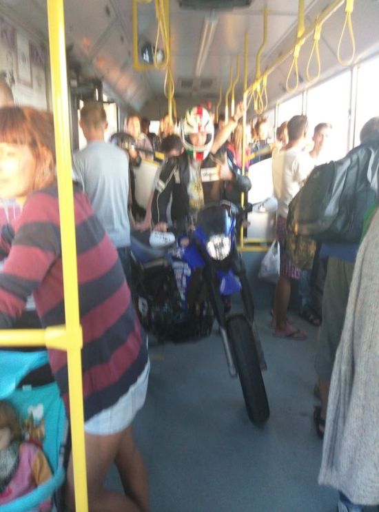Необычный пассажир общественного транспорта (2 фото)