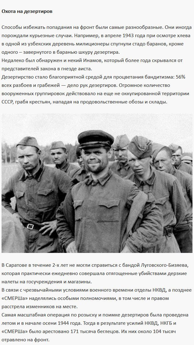 О дезертирстве в годы Великой Отечественной войны (6 фото)