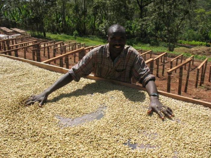 Как выращивают и пьют кофе в Эфиопии (8 фото)