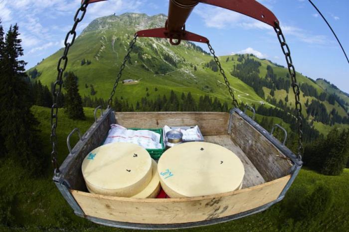  Швейцарские сыроделы (23 фото) 