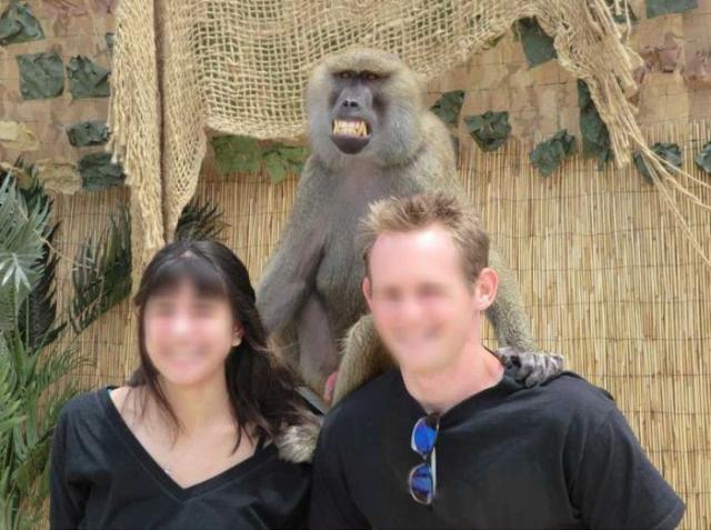 Не самое удачное фото с обезьянкой (4 фото) 