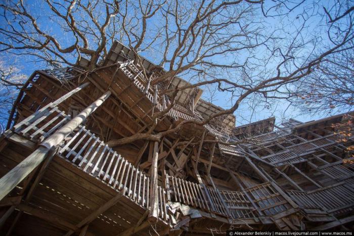  Американец построил деревянный дом на белом дубе (29 фото) 