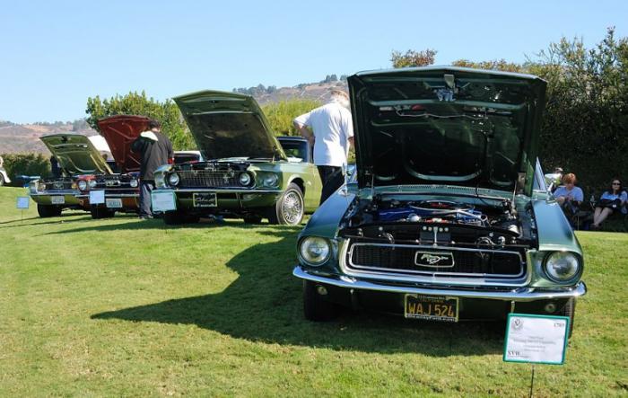  Mustang & Shelby (10 фото) 