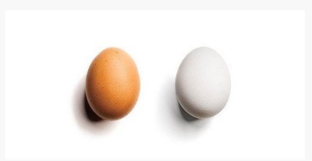 Белые и коричневые яйца - какие выбрать? (4 фото)